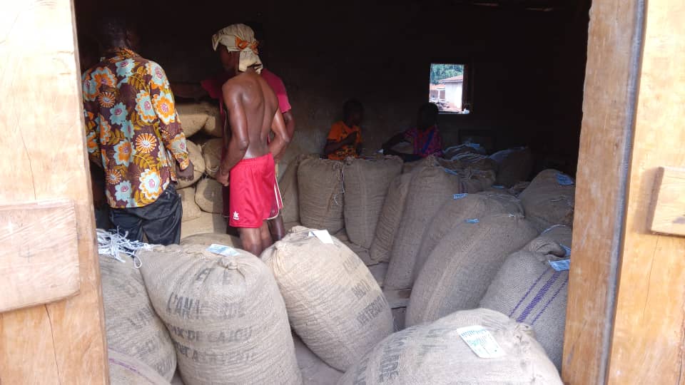 BushVillageWarehouse