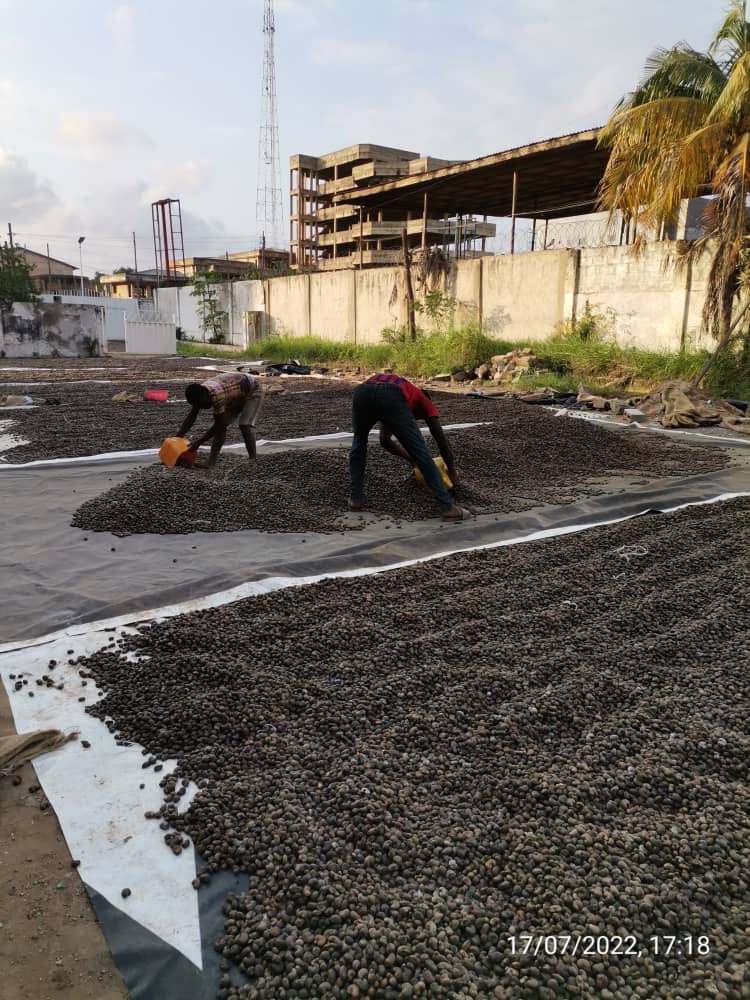 ClosingUp 4 Night Tema-2