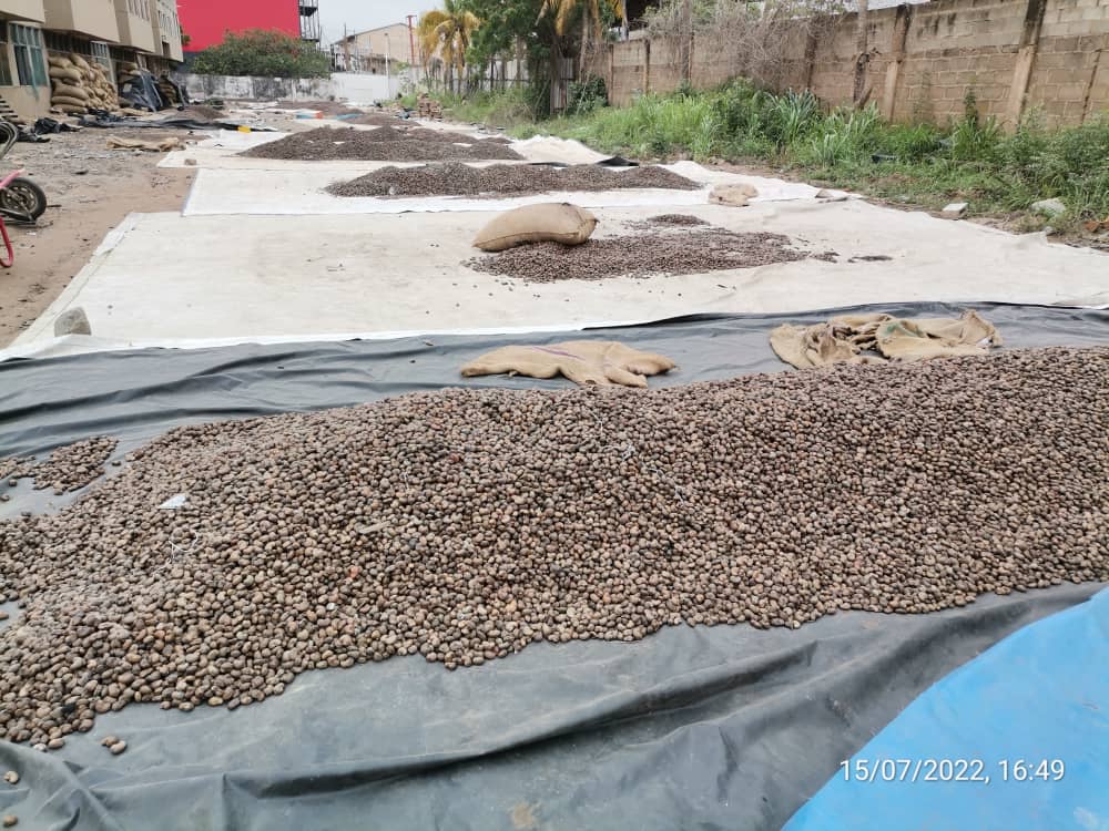 ClosingUp 4 Night Tema